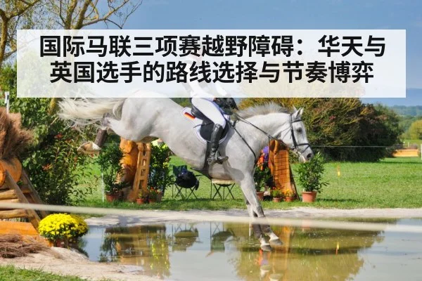 equestrian water jump horse